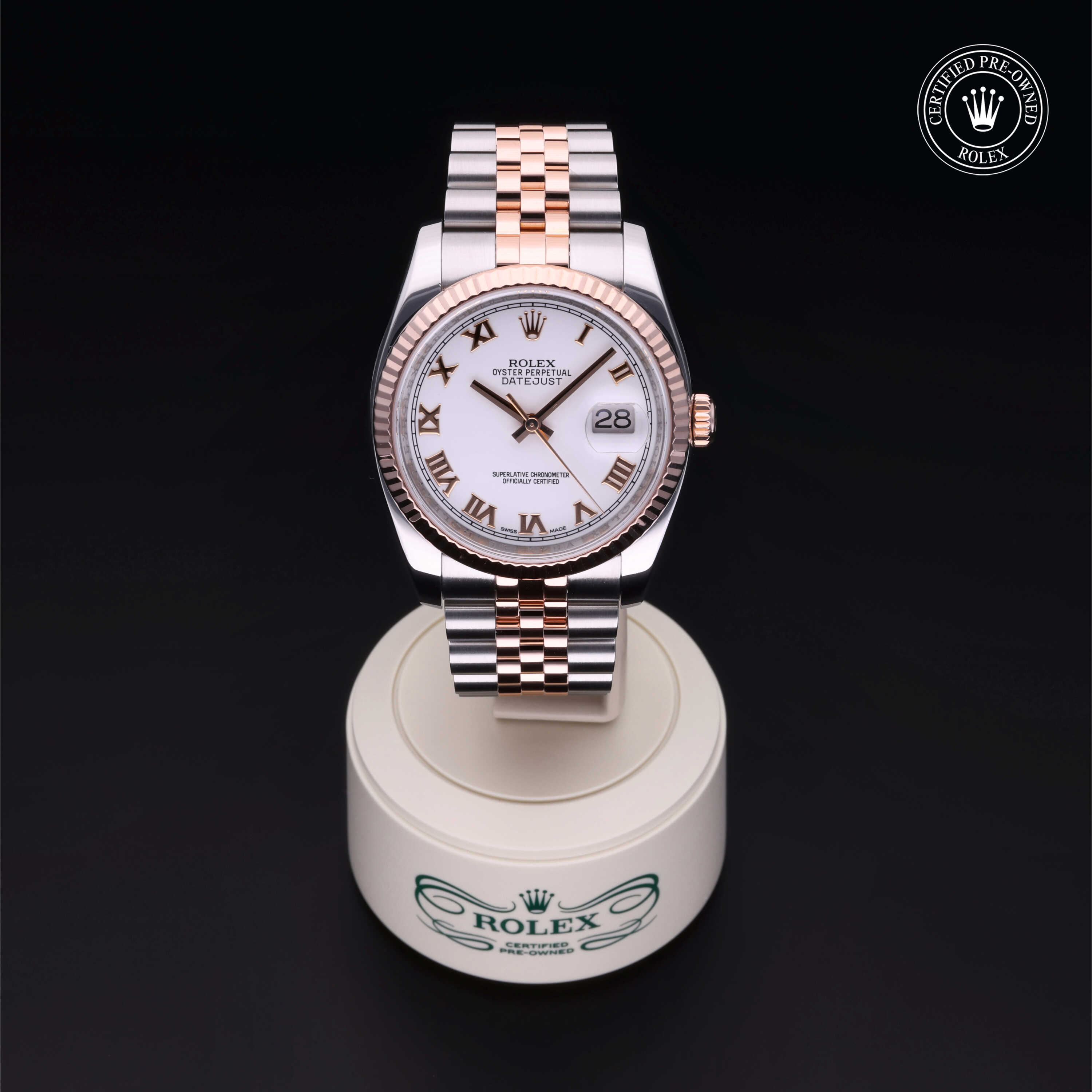 Rolex Datejust in Rolesor 18 Carat Red M116231-0010 at Alson Jewelers